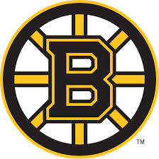 Boston Bruins Cup Champs
