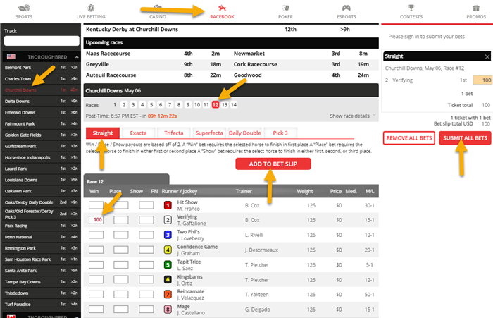 Basic Guide for Online Betting on Car Race Track Events