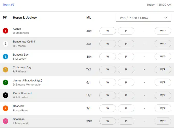 Screenshot showing the odds for the 2026 Irish Derby at Ozoon.