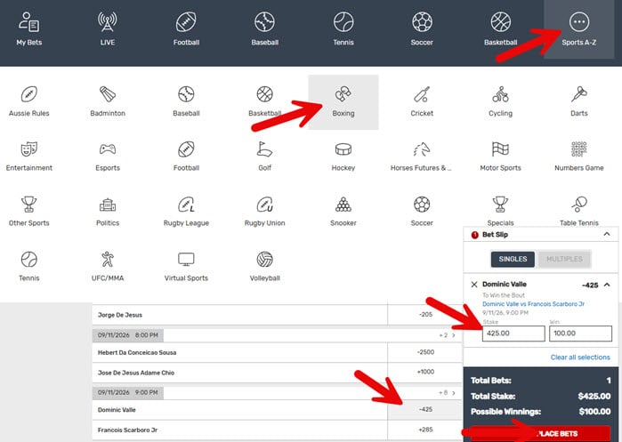 Screenshot showing how to place a boxing bet at Bovada.