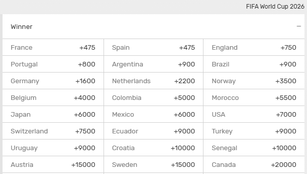 Screenshot of the World Cup 2026 winner odds from Bovada.