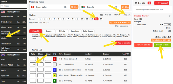 Screenshot showing a Preakness Stakes win bet in the BetOnline Racebook.